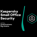 Kaspersky Small Office Security 1-year 18-Device 9-User 1-FileServer License KL45419DJFS