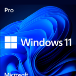 Microsoft Windows 11 Pro FQC-10572